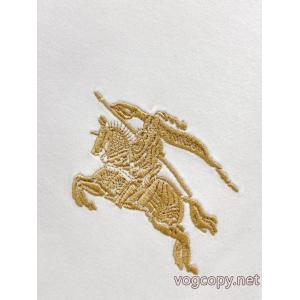 2026新作 話題の新作到着！ 今季トレンドブランド 品 コピーバーバリーパーカー