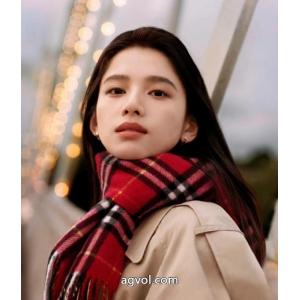 超目玉新作 全国無料全国無料HOT 新商品スーパー コピー 販売マフラーBURBERRY