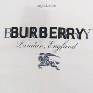 ブランド コピー 安心BURBERRY今季トレンドをうまく取り 存在感が高い 人気定番2026半袖Tシャツ