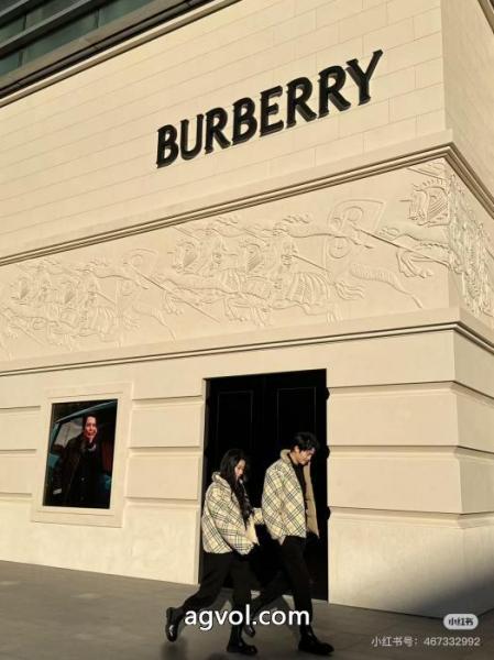 ダウンジャケットBURBERRY超高機能 洗練されたスタイル 速達EMS便スーパー コピー 通販 優良 6 