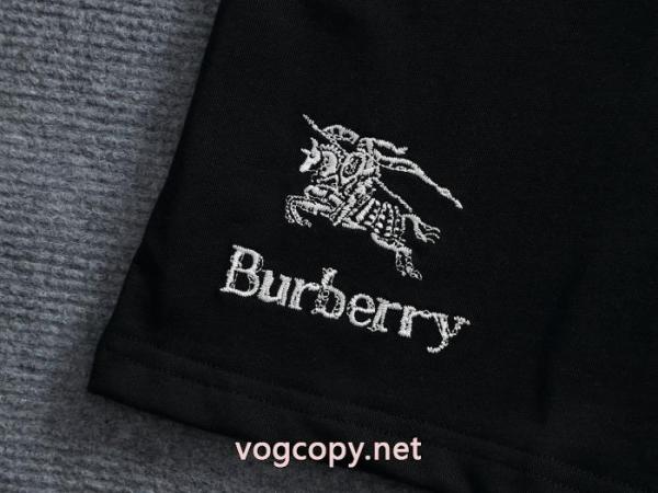 超あたたかい 存在感絶大スタイル 日本未入荷カラースーパー コピーBURBERRY半袖Tシャツ 5 