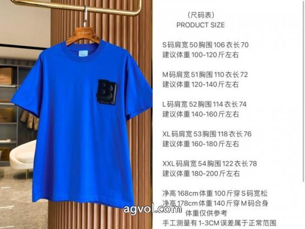 BURBERRY人気爆発新品 大人気最新作 大人の魅力半袖Tシャツブランド コピー   5 