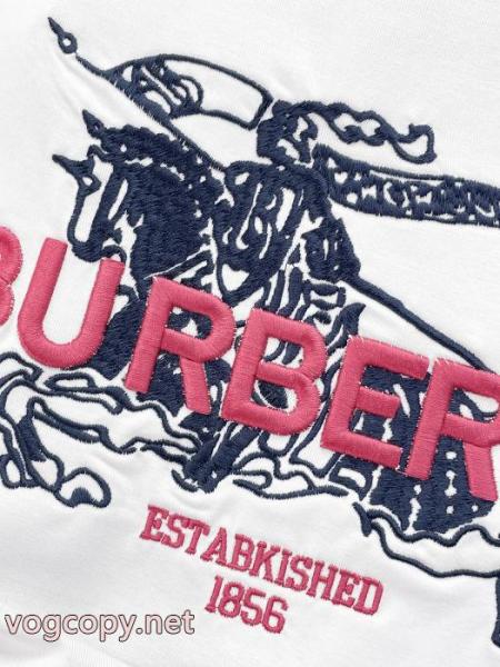 ブランド コピー 優良店半袖TシャツBURBERRY新作いきなり値下げ！ 人気急上昇 高級感のある 5 